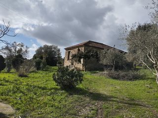 Μονοκατοικία 70 τ.μ. προς πώληση, Κυνηγός Πύλου-thumb-12