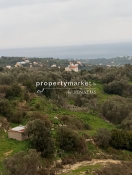 Αγροτεμάχια 14.100 τ.μ. για πώληση