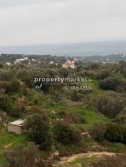 Αγροτεμάχια 14.100 τ.μ. για πώληση
