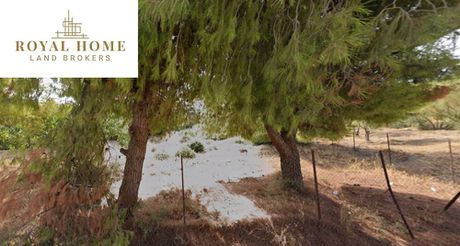 Land plot 850sqm for sale-Markopoulo » Porto Rafti
