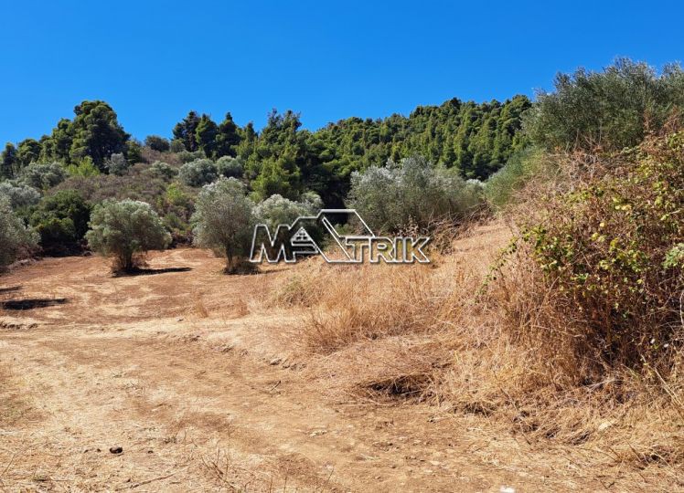 Αγροτεμάχια 2.244 τ.μ. προς πώληση, Παλιούρι Παλλήνης