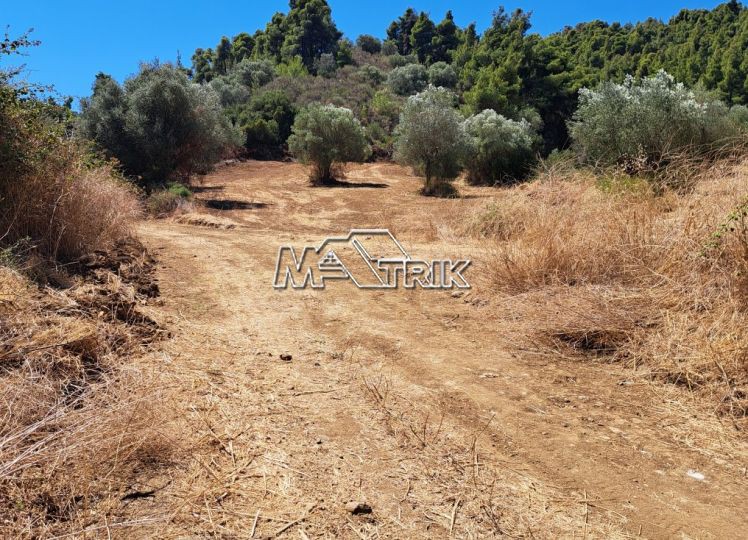 Αγροτεμάχια 2.244 τ.μ. προς πώληση, Παλιούρι Παλλήνης