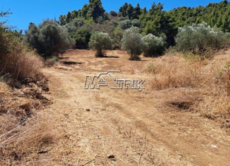 Αγροτεμάχια 2.244τ.μ. για πώληση-Παλλήνη » Παλιούρι
