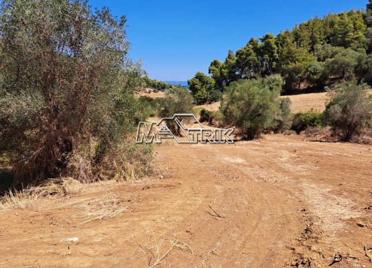Αγροτεμάχια 2.244 τ.μ. προς πώληση, Παλιούρι Παλλήνης