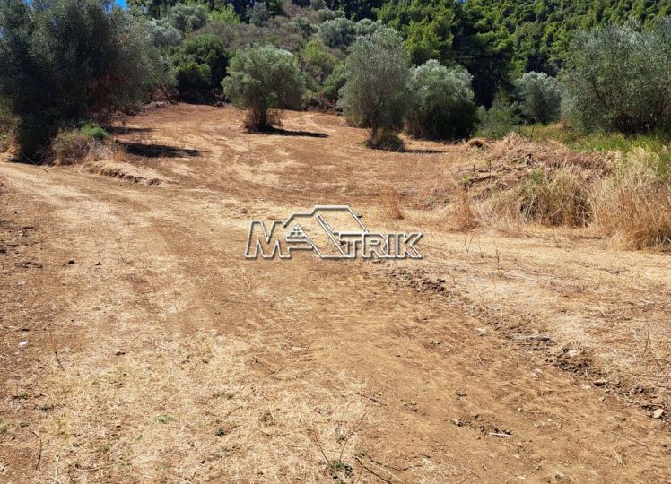 Αγροτεμάχια 2.244 τ.μ. προς πώληση, Παλιούρι Παλλήνης