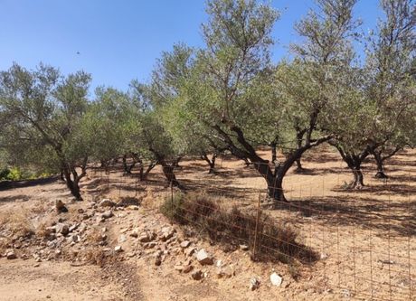 Parcel 1.500sqm for sale-Keramia » Center