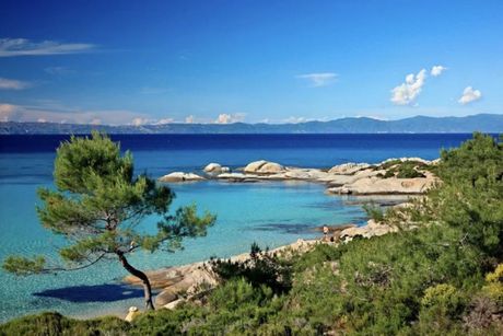 Αγροτεμάχια 18.000 τ.μ. για πώληση