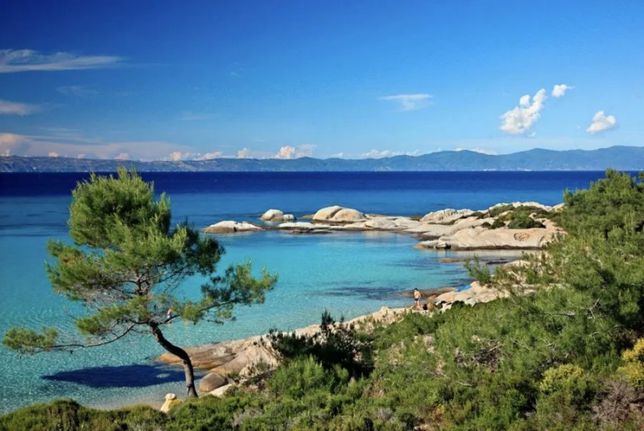 Αγροτεμάχια 18.000 τ.μ. για πώληση, Χαλκιδική, Τορώνη