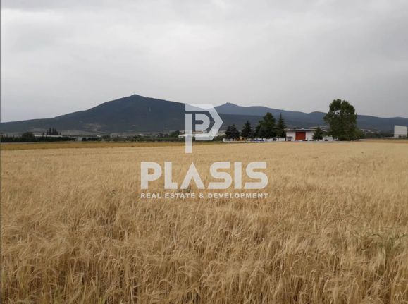 Parcel 8.000 sqm for sale, Thessaloniki - Suburbs, Thermi