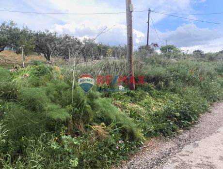 Land plot 1.116sqm for sale-Souda