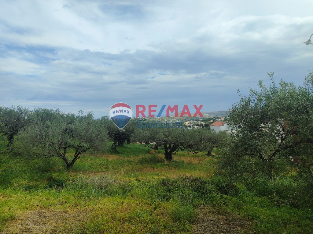 Οικόπεδο 725 τ.μ. προς πώληση, Πατσίδες