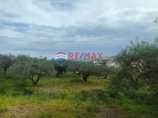 Οικόπεδο 725 τ.μ. για πώληση