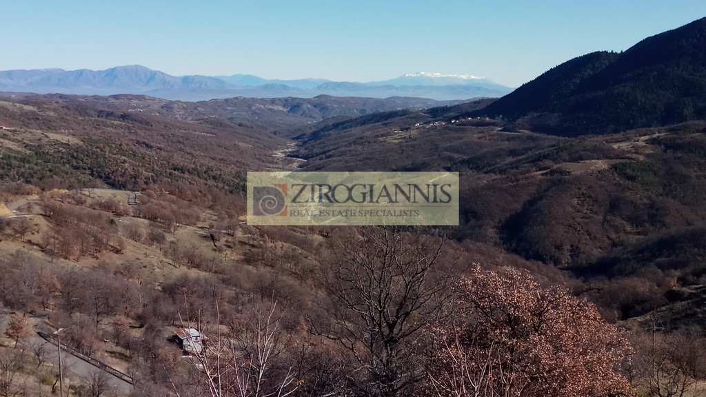 Ξενοδοχείο 1.050 τ.μ. για πώληση, Γρεβενά, Αβδέλλα