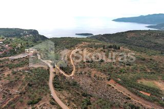 Αγροτεμάχια 4.670,41 τ.μ. για πώληση
