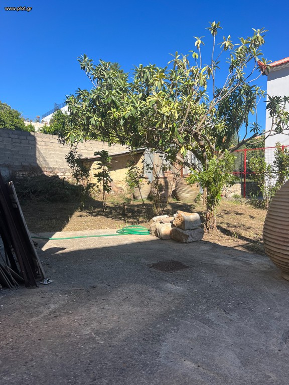 Μονοκατοικία 300 τ.μ. προς πώληση, Χαρακοπιό