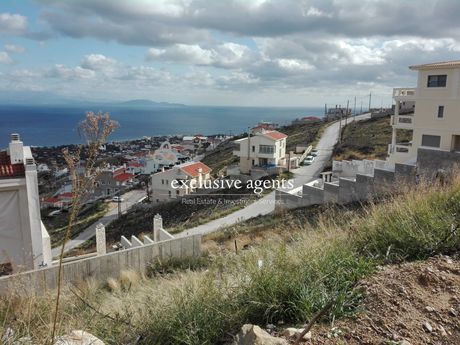 Οικόπεδο 501 τ.μ. για πώληση