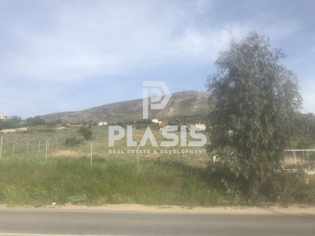 Αγροτεμάχια 7.960 τ.μ. για πώληση