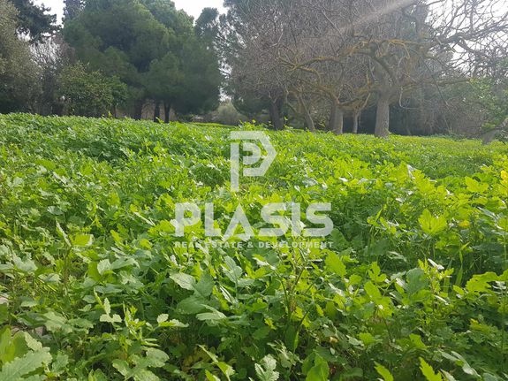 Land plot 7.500 sqm for sale, Athens - East, Glika Nera