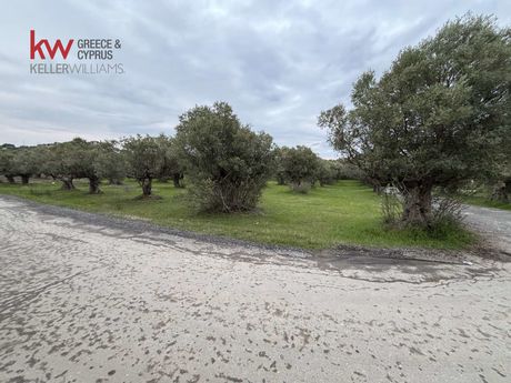 Αγροτεμάχια 4.593τ.μ. για πώληση-Μουδανιά