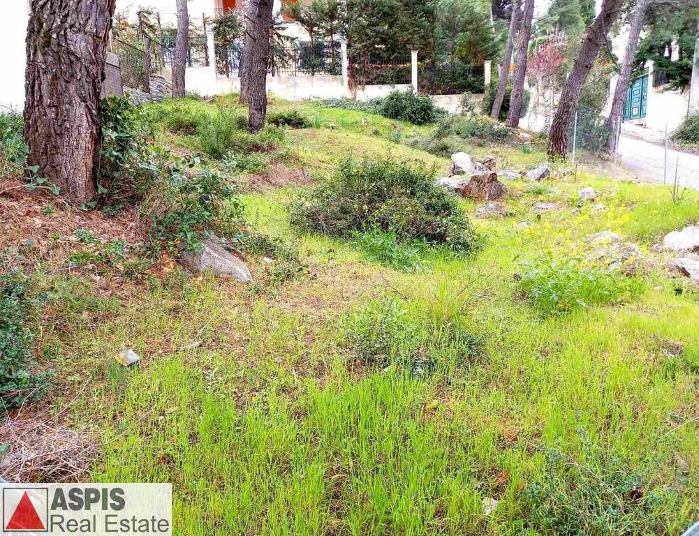 Οικόπεδο 409 τ.μ. προς πώληση, Διόνυσος