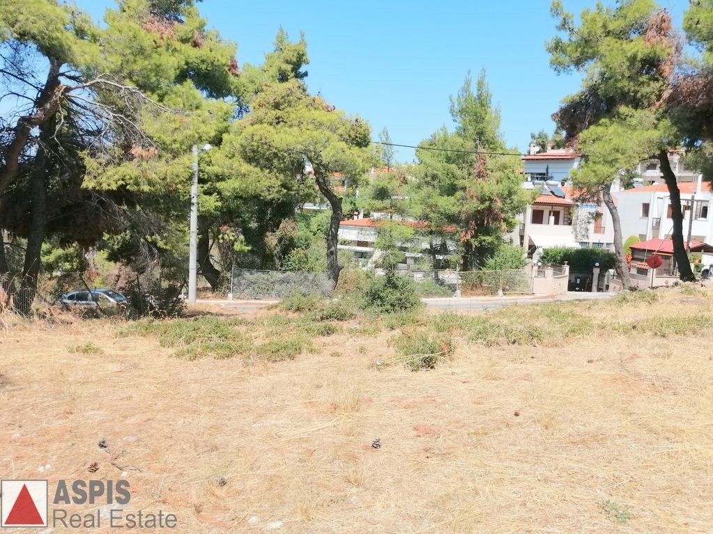 Οικόπεδο 770 τ.μ. προς πώληση, Άγιος Στέφανος