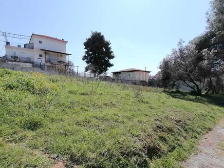 Αγροτεμάχια 600τ.μ. για πώληση-Άγιος στέφανος