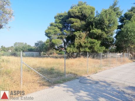 Οικόπεδο 3.813τ.μ. για πώληση-Άγιος στέφανος