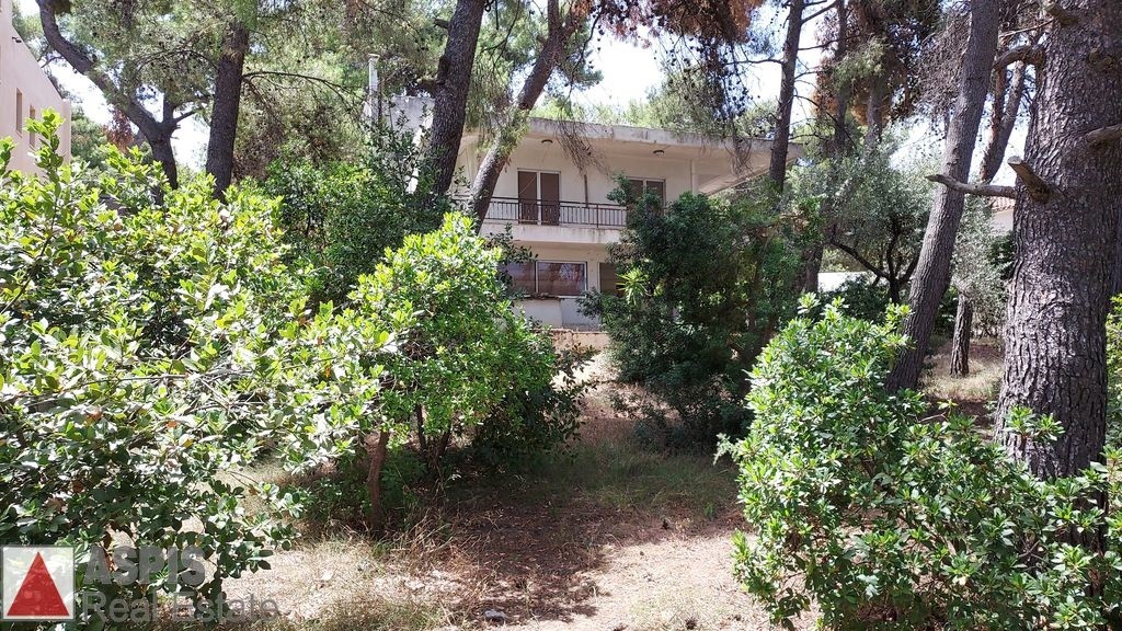 Οικόπεδο 1.076 τ.μ. προς πώληση, Άνοιξη