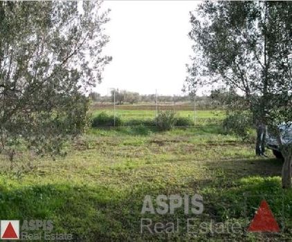 Land plot 3.750sqm for sale-Schimatari