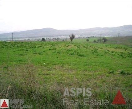 Land plot 10.000sqm for sale-Schimatari