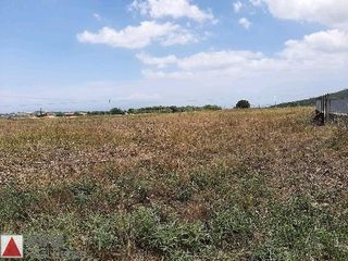 Οικόπεδο 17.000 τ.μ. για πώληση, Βοιωτία, Σχηματάρι-thumb-3