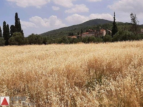 Οικόπεδο 17.000 τ.μ. για πώληση, Βοιωτία, Σχηματάρι
