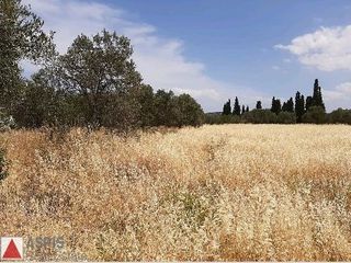 Οικόπεδο 17.000 τ.μ. για πώληση, Βοιωτία, Σχηματάρι-thumb-2