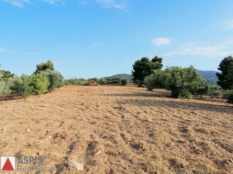 Land plot 6.630sqm for sale-Stamata