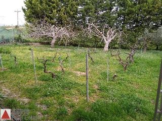 Μονοκατοικία 205 τ.μ. για πώληση