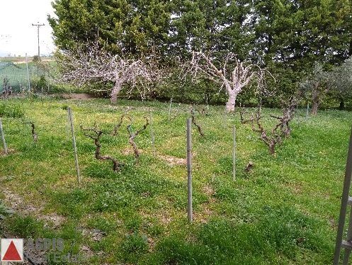 Μονοκατοικία 205 τ.μ. για πώληση, Βοιωτία, Σχηματάρι