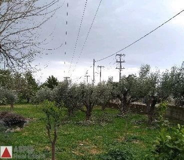 Μονοκατοικία 205 τ.μ. προς πώληση, Σχηματάρι