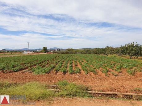 Land plot 36.000sqm for sale-Avlona