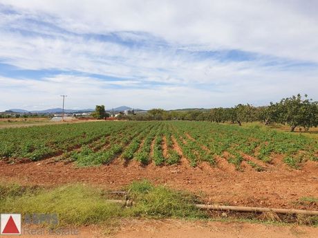 Land plot 30.000sqm for sale-Avlona