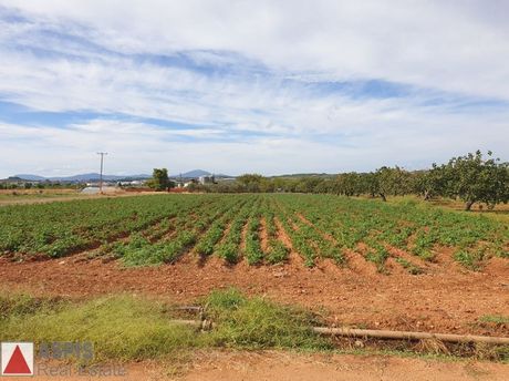 Land plot 20.000sqm for sale-Avlona