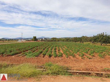 Land plot 5.500sqm for sale-Avlona