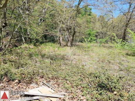 Land plot 3.200sqm for sale-Stamata