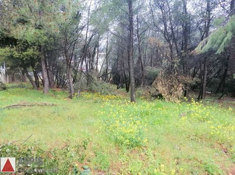 Οικόπεδο 800 τ.μ. για πώληση