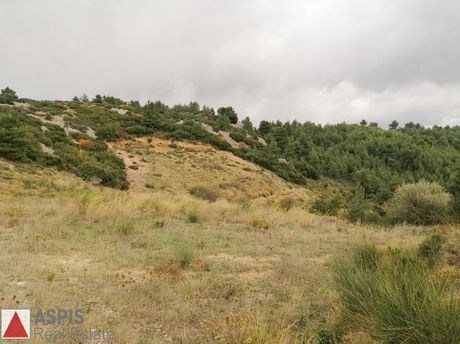 Land plot 4.800sqm for sale-Polidendri