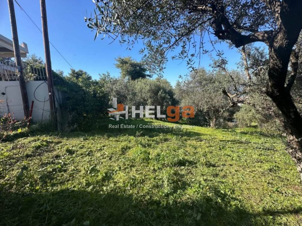 Οικόπεδο 500 τ.μ. προς πώληση, Ανεμόμυλος Βραχναιίκων