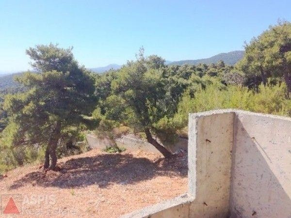 Μονοκατοικία 309 τ.μ. προς πώληση, Αγία Τριάδα Αφιδνών