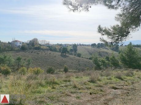 Οικόπεδο 12.000 τ.μ. για πώληση