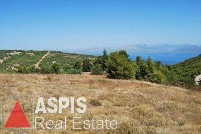 Parcel 6.500sqm for sale-Com. Kapandriti