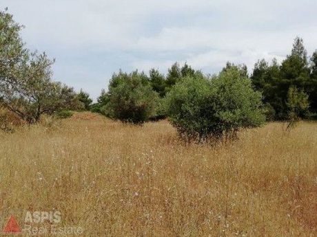 Land plot 6.080sqm for sale-Com. Kapandriti