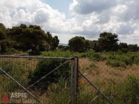 Land plot 2.174sqm for sale-Afidnes